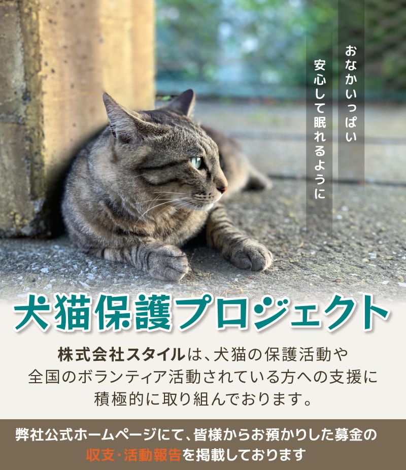 犬猫保護プロジェクト